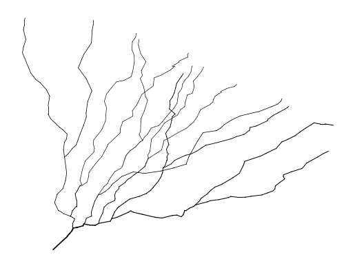 ../_images/_tutorials_morphologies_46_0.png